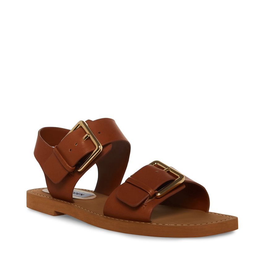 Brown Steve Madden Santo Leather Women's Flat Sandals | PH 3240GYA